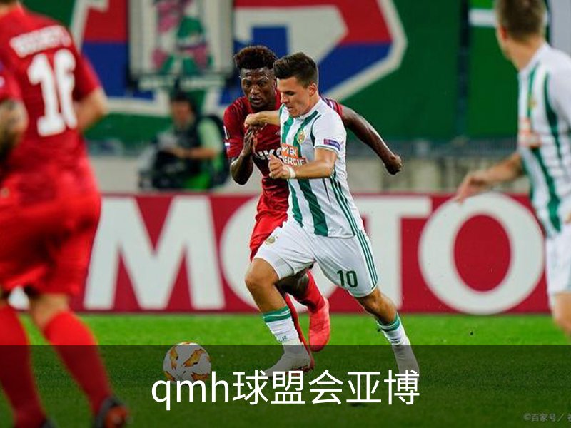 qmh球盟会亚博简介